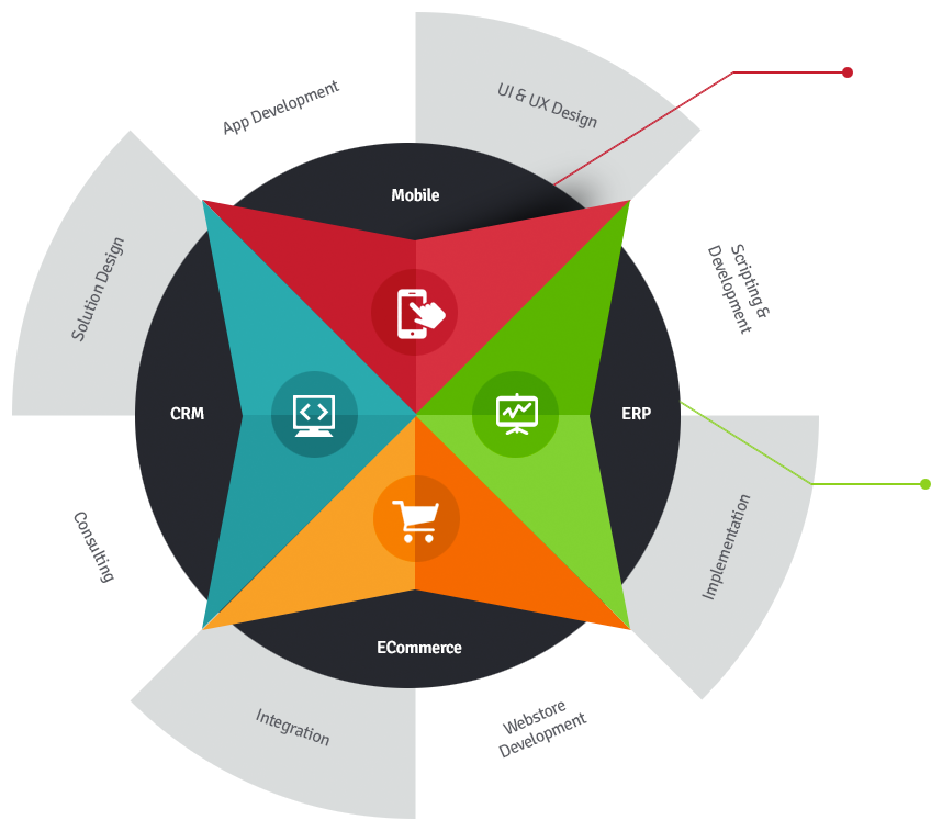 NetSuite CuriousRubik Services.png