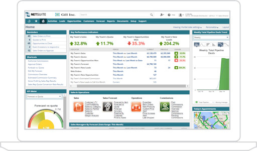 NetSuite Software Application.png